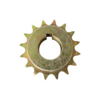 1410702 SaltDogg 1" Gearbox Sprocket