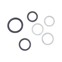 16159104 SnowDogg Valve Seal Kit