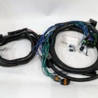 29048 Western Light Harness