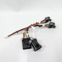 29290-2 Western Diagnostic Kit