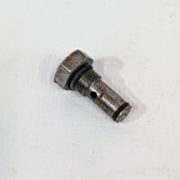 55568K Western Check Valve