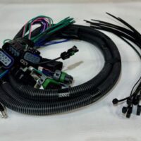 69817-1 Western Light System Harness