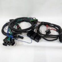 69889-1 Western Plug-In Harness Kit