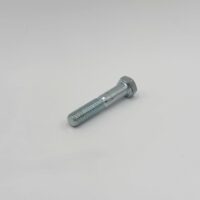 FCS038016200 SaltDogg Bolt, 2"